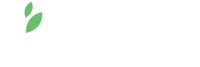 Dr Subhash University Foundation